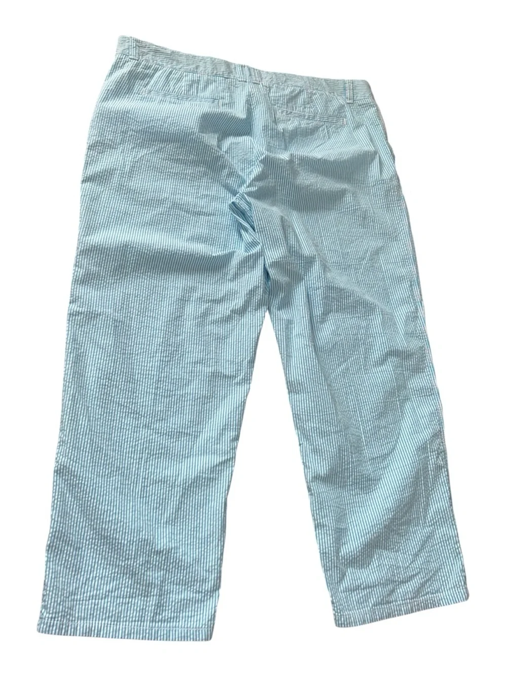 Crown & Ivy Seersucker Boating Pants Cropped Cotton Chino Sz 14 Coastal Nautical